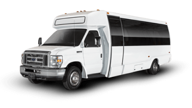 Mini Coach
